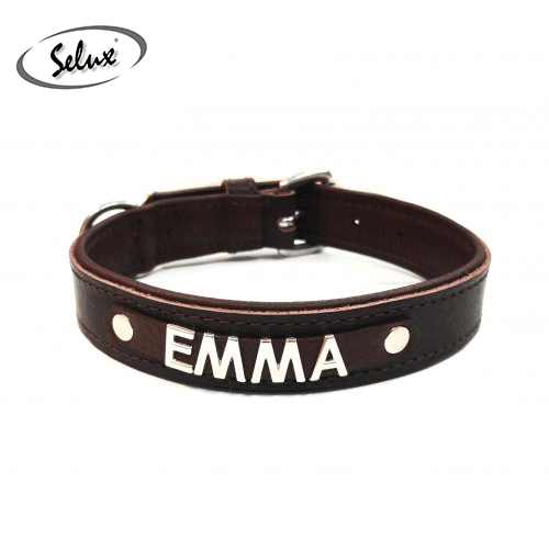 Isimlikli Deri Kopek Tasmasi Karine Store Deri Kopek Tasmalari